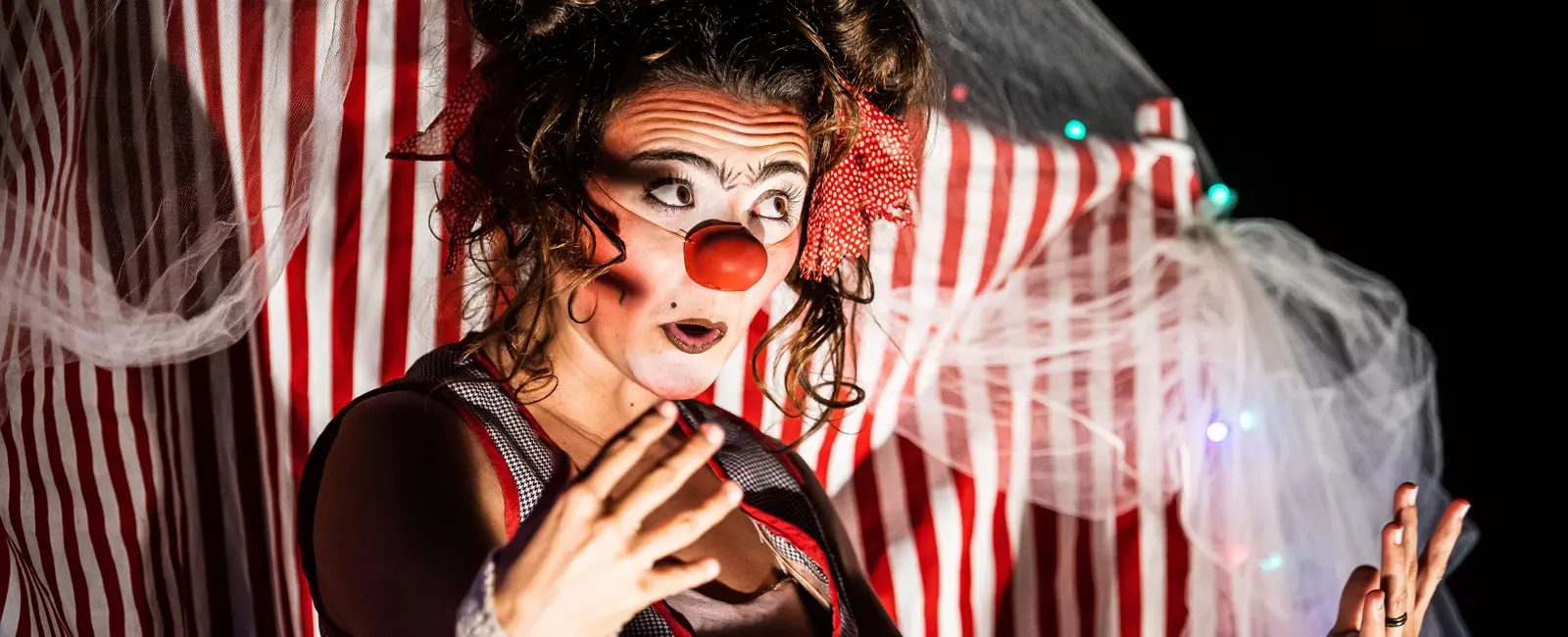 Circo de los Pies – La Luna Cia. de Teatro (SC)